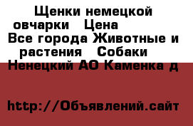 Щенки немецкой овчарки › Цена ­ 30 000 - Все города Животные и растения » Собаки   . Ненецкий АО,Каменка д.